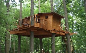 Treehouse V Brdech