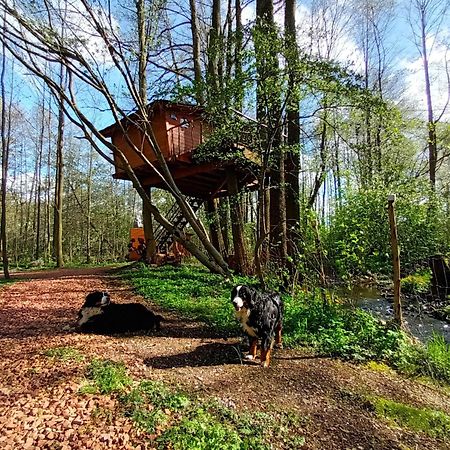 Villa Treehouse V Brdech Bohutín Exterior foto