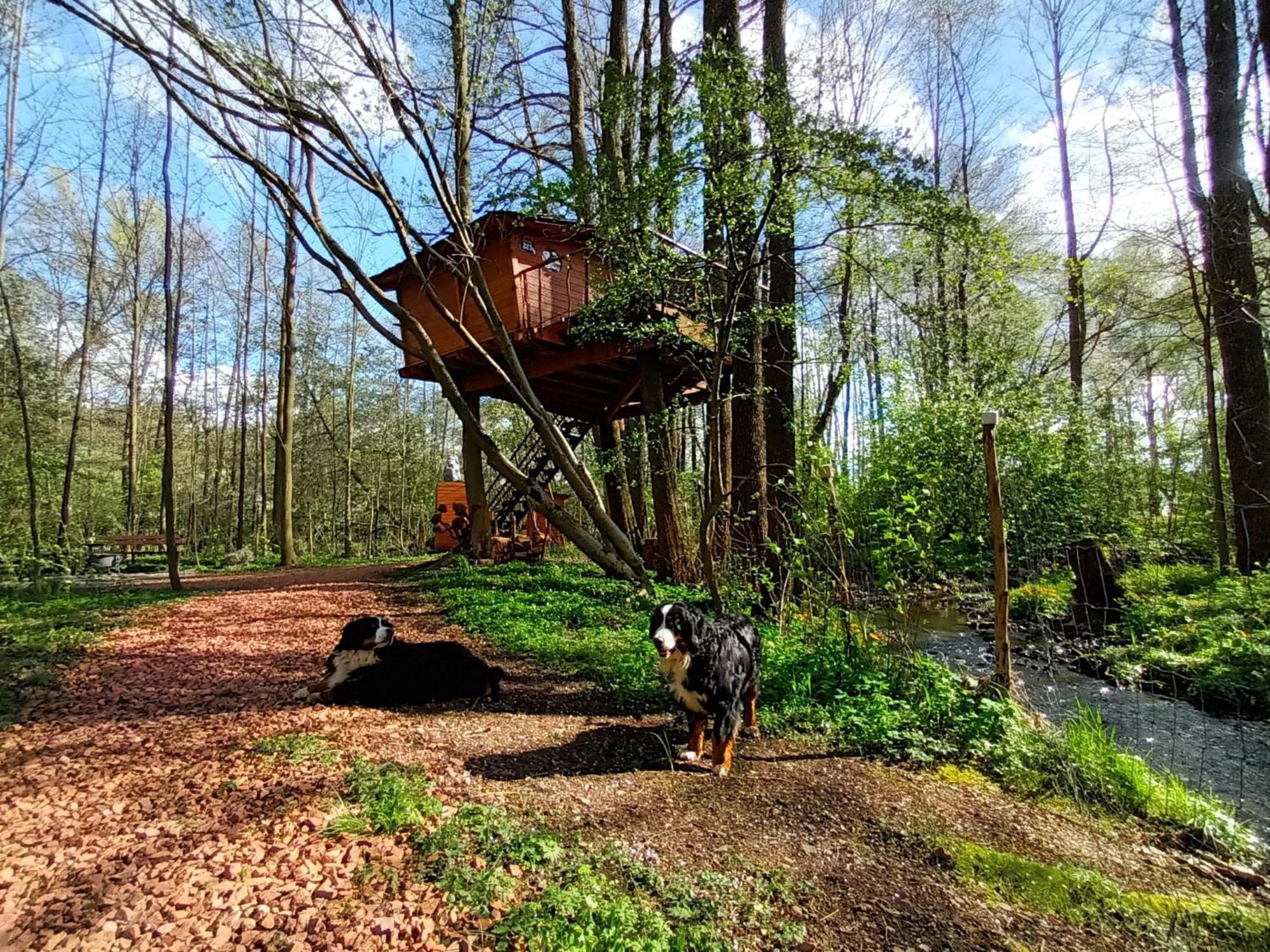 Villa Treehouse V Brdech Bohutín Exterior foto